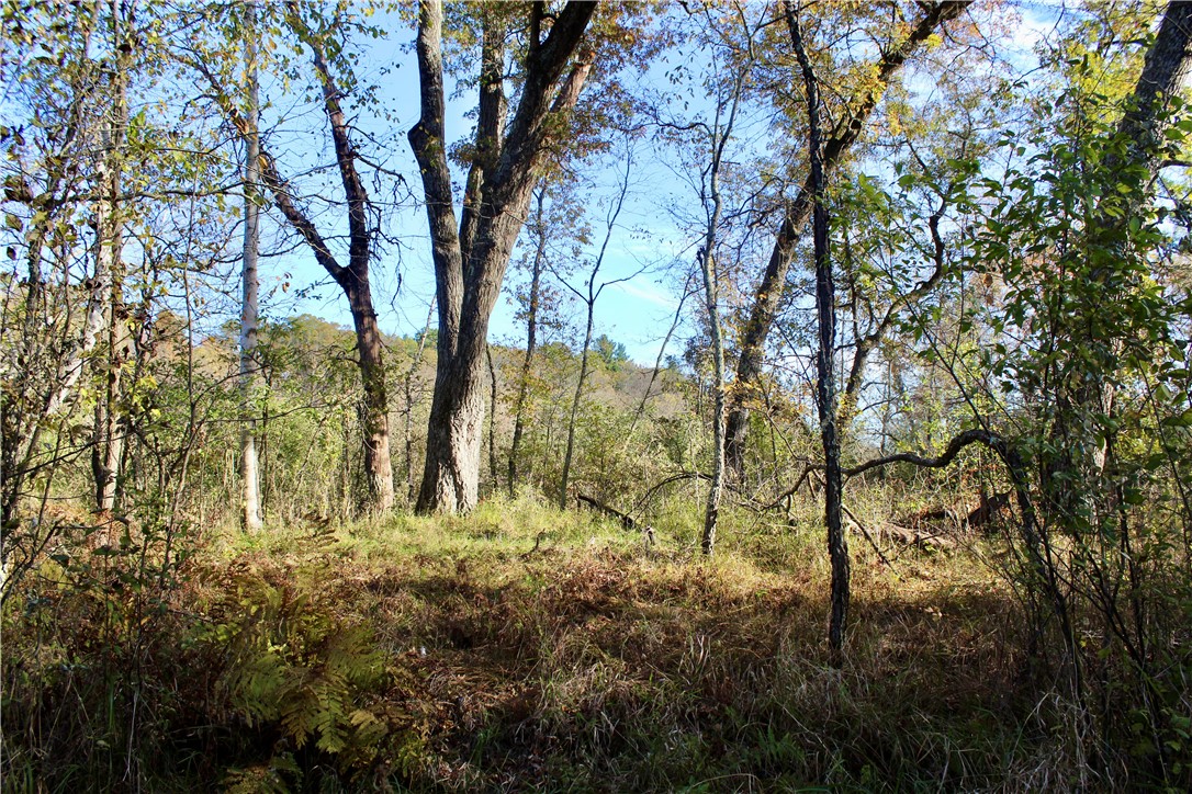 0 S Lowes Creek Rd Road Property Photo 29