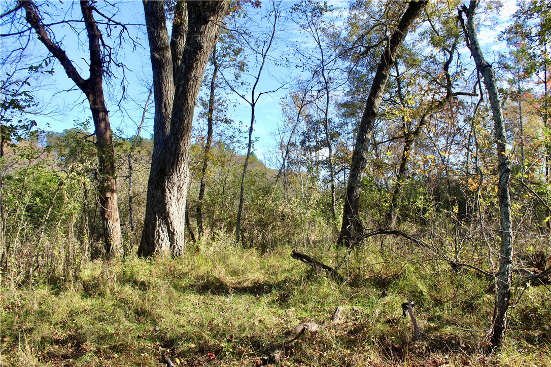 0 S Lowes Creek Rd Road Property Photo 30