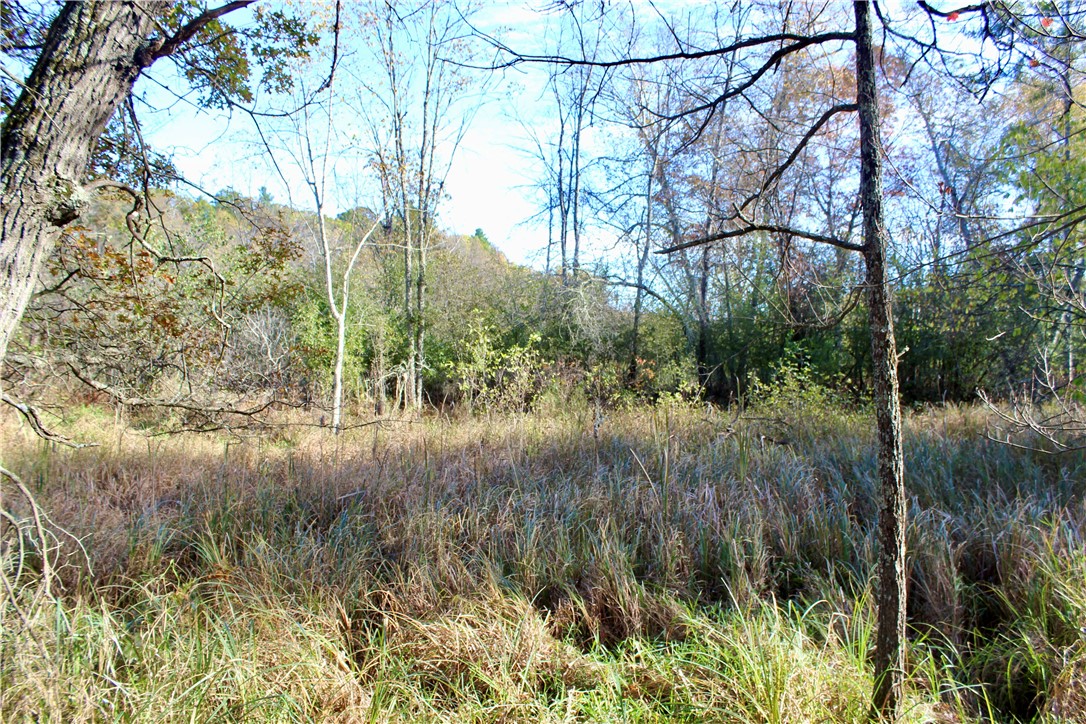 0 S Lowes Creek Rd Road Property Photo 31