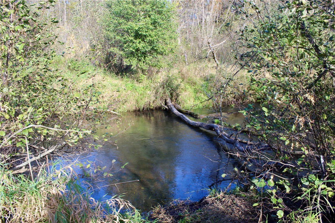 0 S Lowes Creek Rd Road Property Photo 32