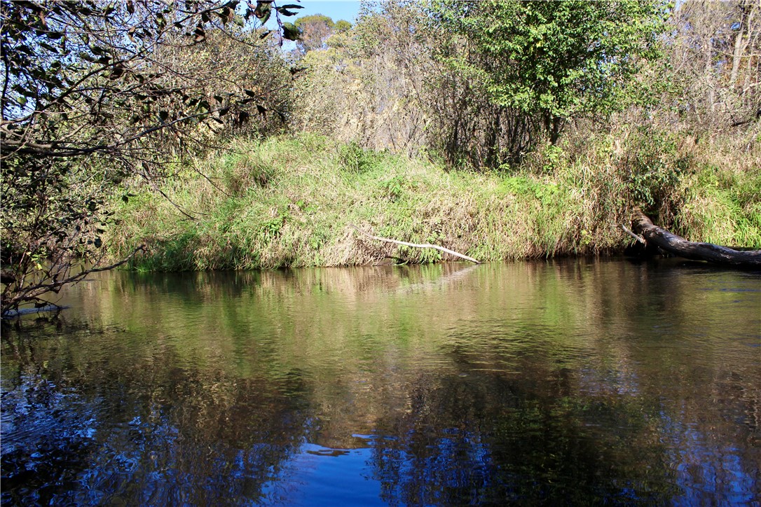 0 S Lowes Creek Rd Road Property Photo 34