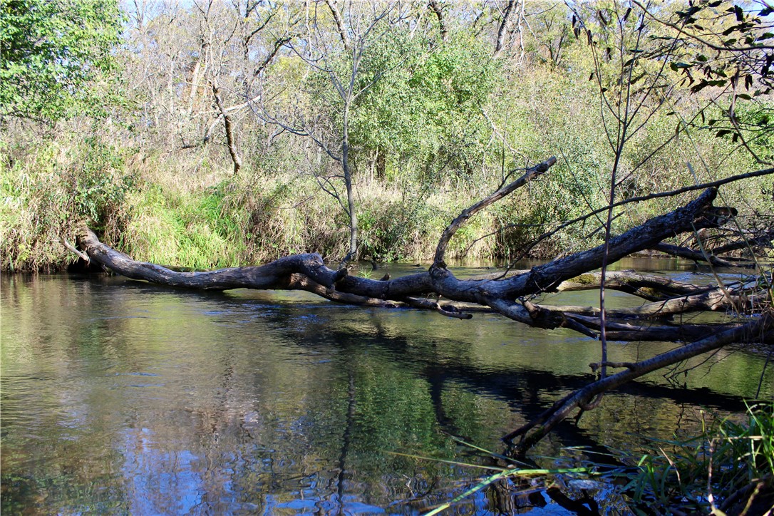 0 S Lowes Creek Rd Road Property Photo 35