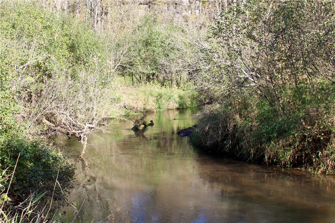 0 S Lowes Creek Rd Road Property Photo 40