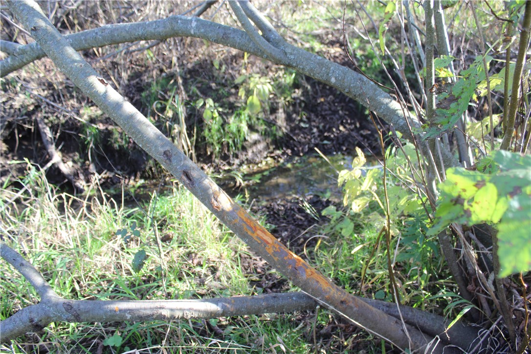 0 S Lowes Creek Rd Road Property Photo 41