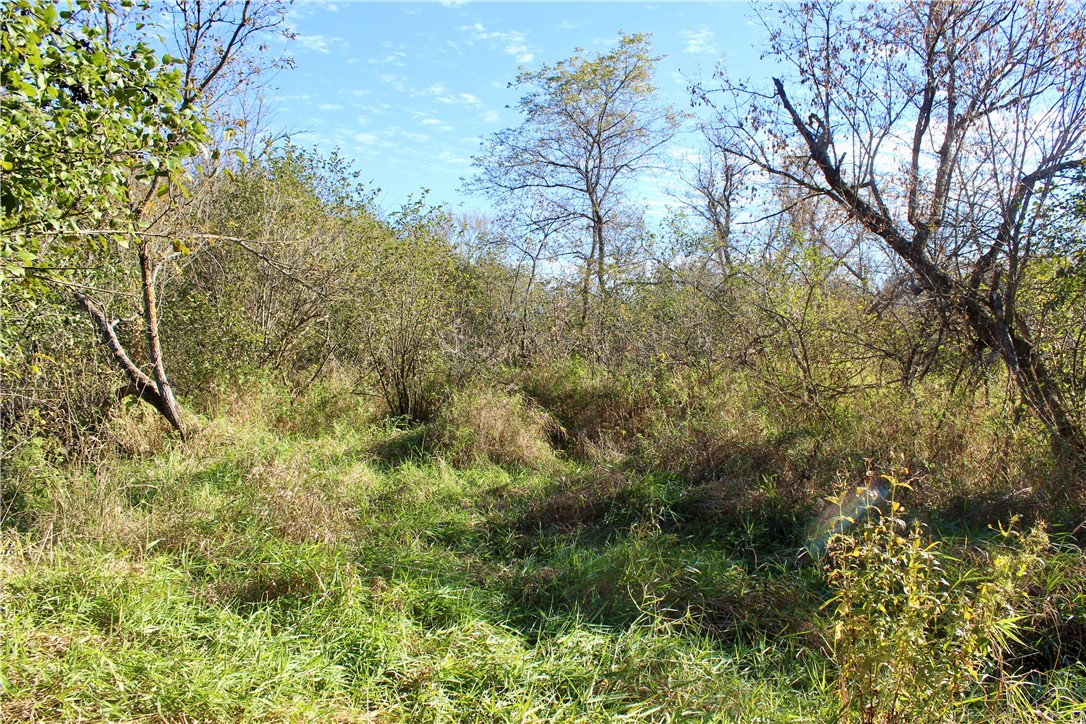 0 S Lowes Creek Rd Road Property Photo 42