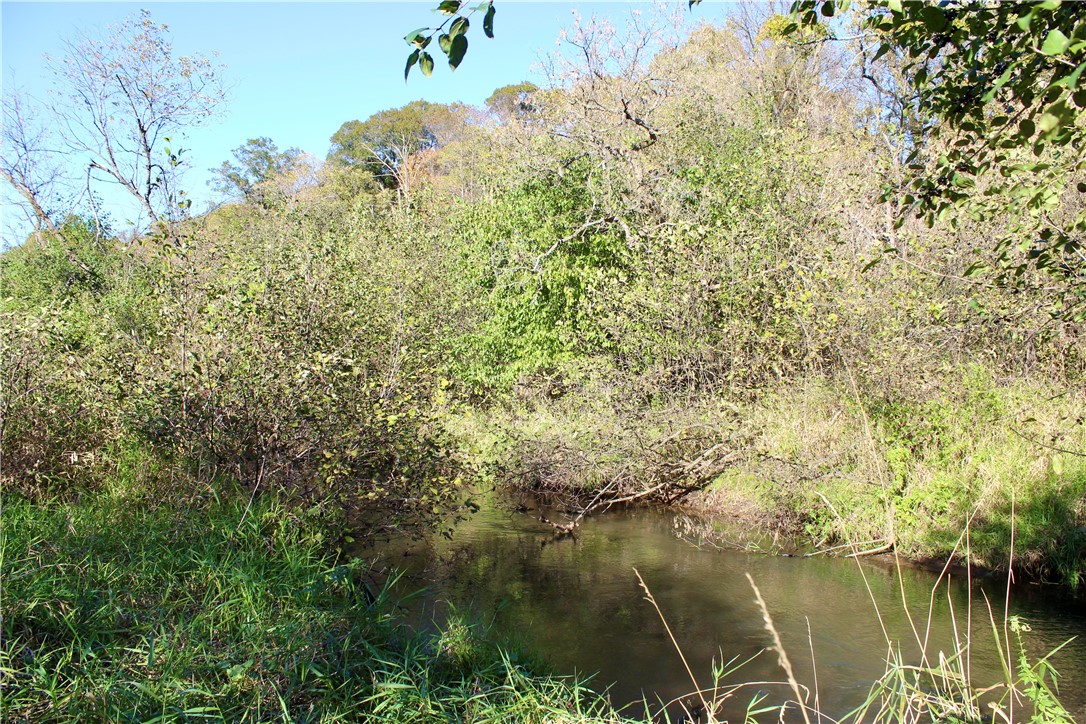 0 S Lowes Creek Rd Road Property Photo 43