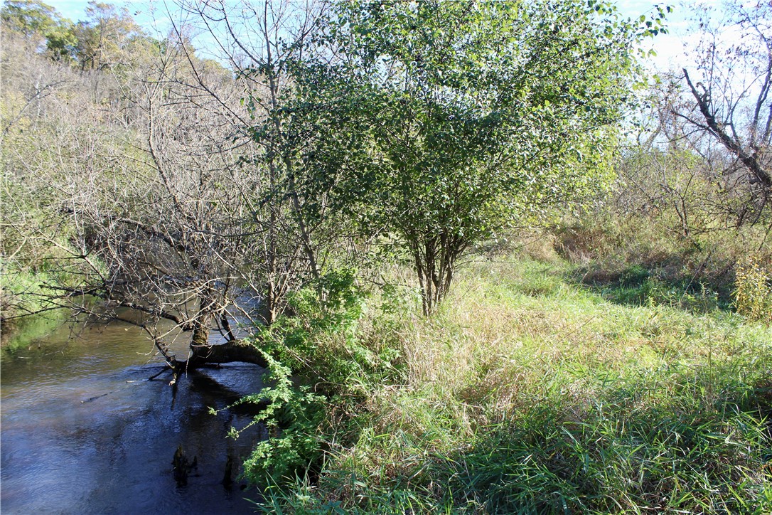 0 S Lowes Creek Rd Road Property Photo 44