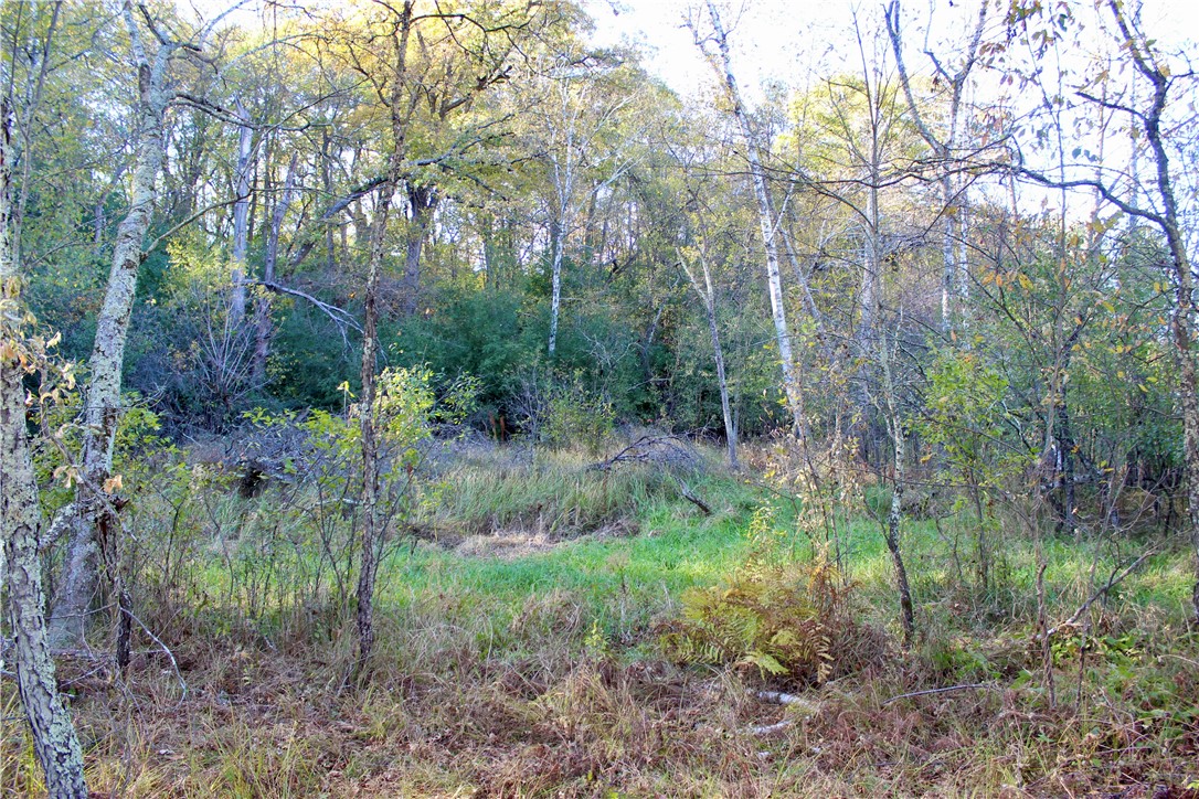 0 S Lowes Creek Rd Road Property Photo 45