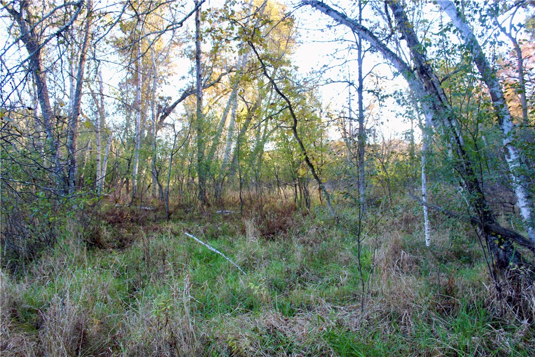 0 S Lowes Creek Rd Road Property Photo 46