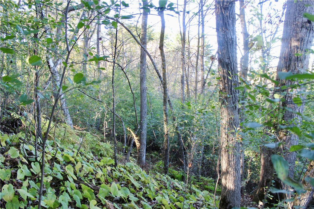 0 S Lowes Creek Rd Road Property Photo 47