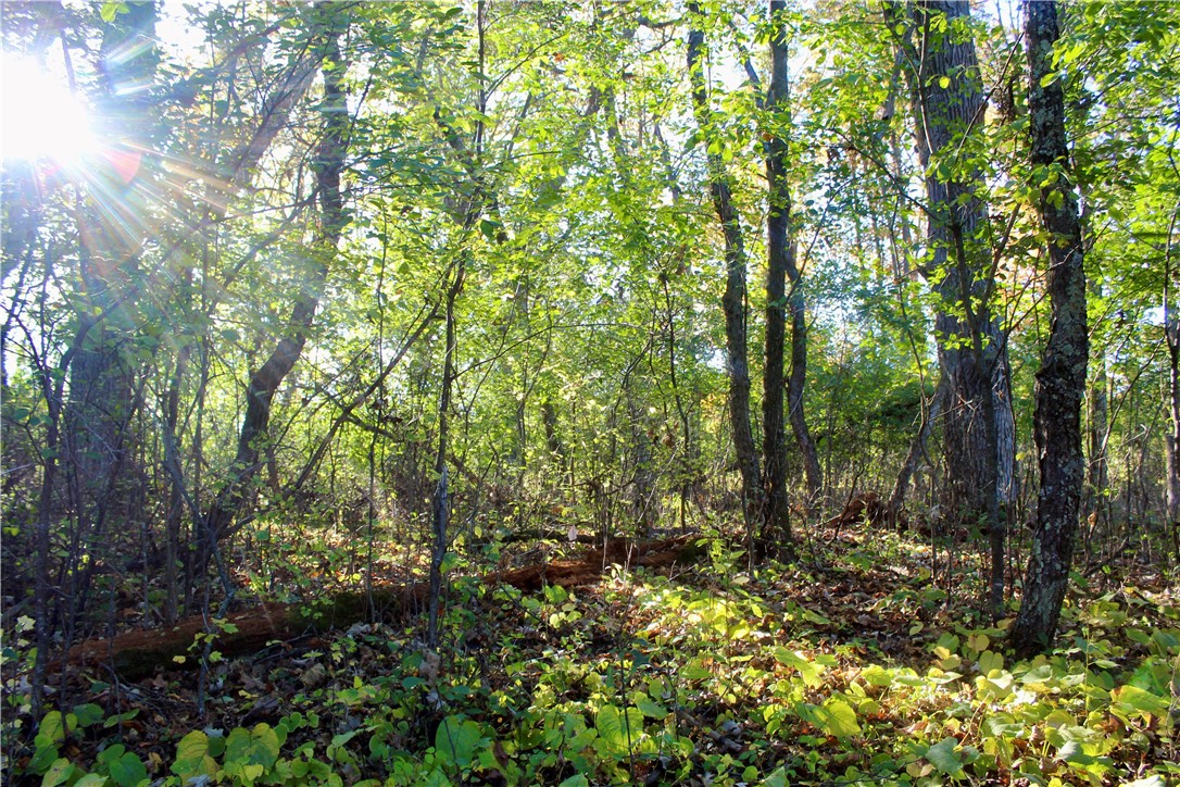 0 S Lowes Creek Rd Road Property Photo 50