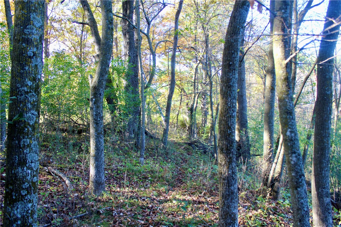 0 S Lowes Creek Rd Road Property Photo 51