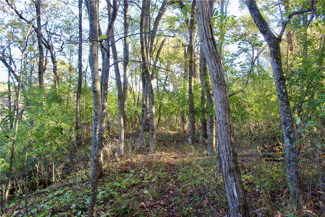 0 S Lowes Creek Rd Road Property Photo 53