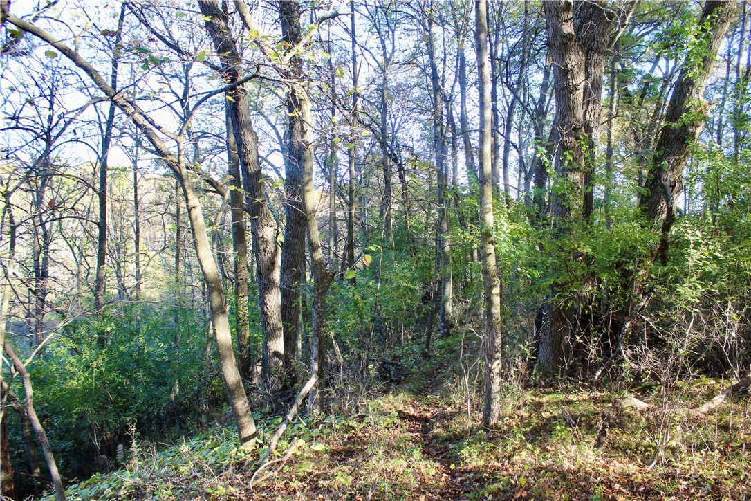 0 S Lowes Creek Rd Road Property Photo 54