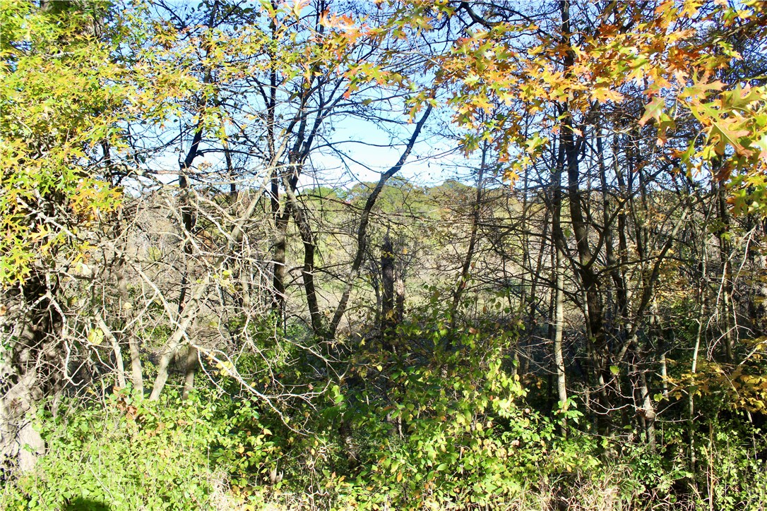 0 S Lowes Creek Rd Road Property Photo 56