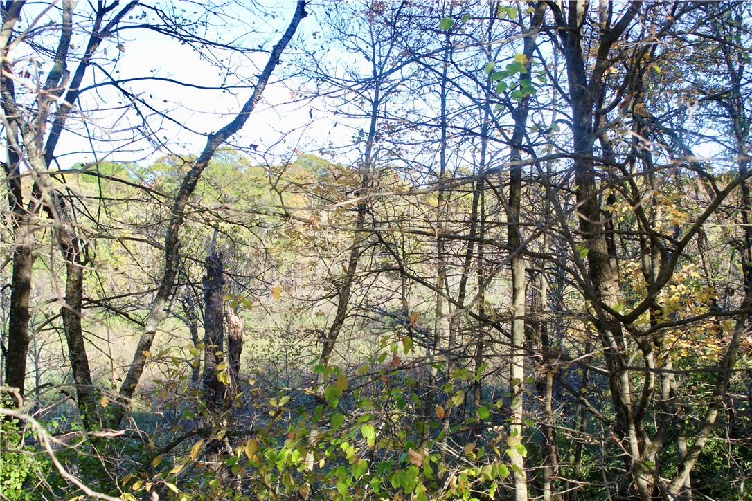 0 S Lowes Creek Rd Road Property Photo 57
