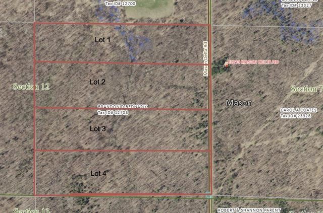 Lot 1 Mason Delta Road Property Photo 1