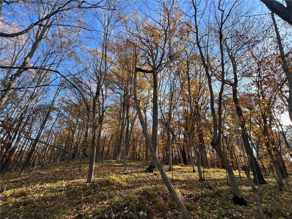 Tbd Marl Road Property Photo 17