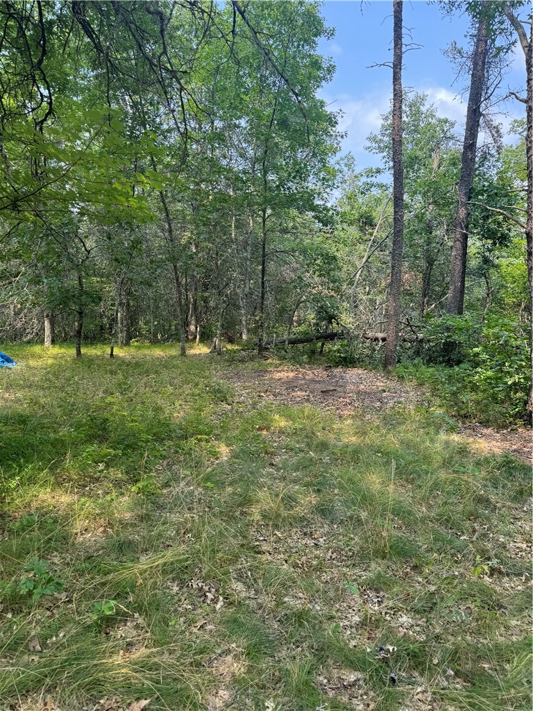 Lot 57 Hanscom Lake Trail Way Property Photo 14