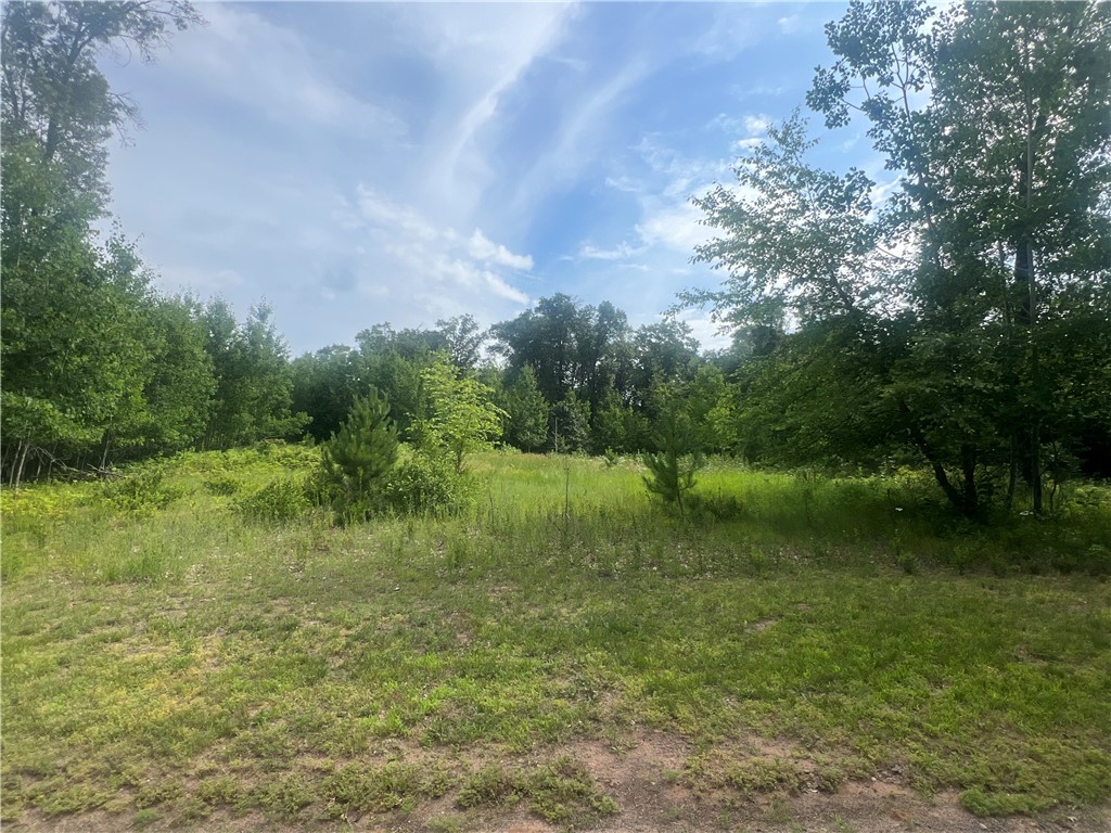 Lot 59 Hanscom Lake Trail Way Property Photo 14
