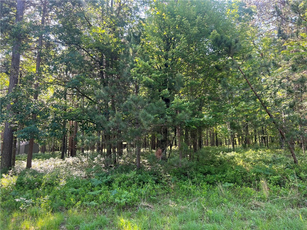 Lot 3 Fox Ridge Pass Property Photo 14