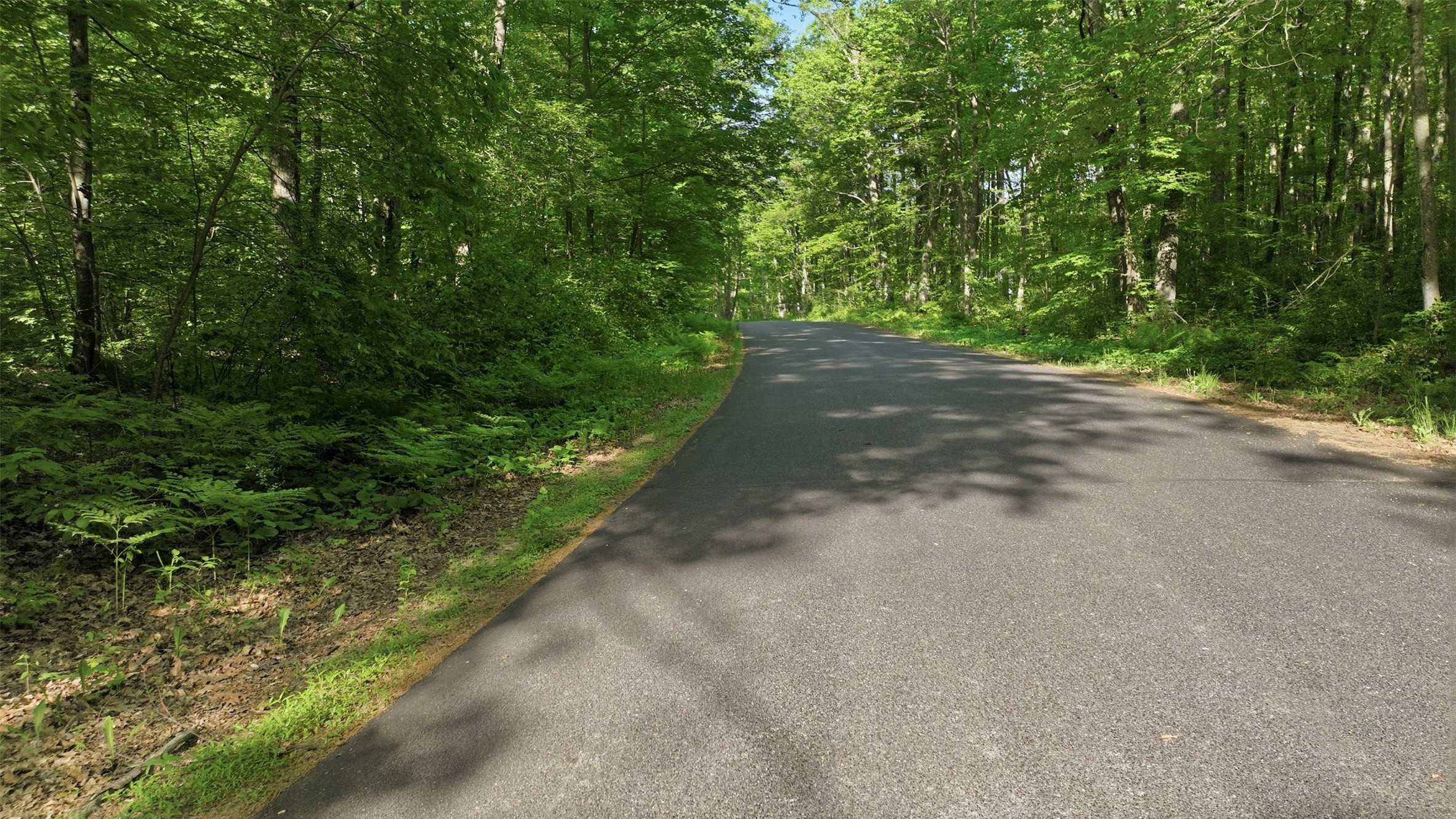 0 Dream Catcher Rd Property Photo 6
