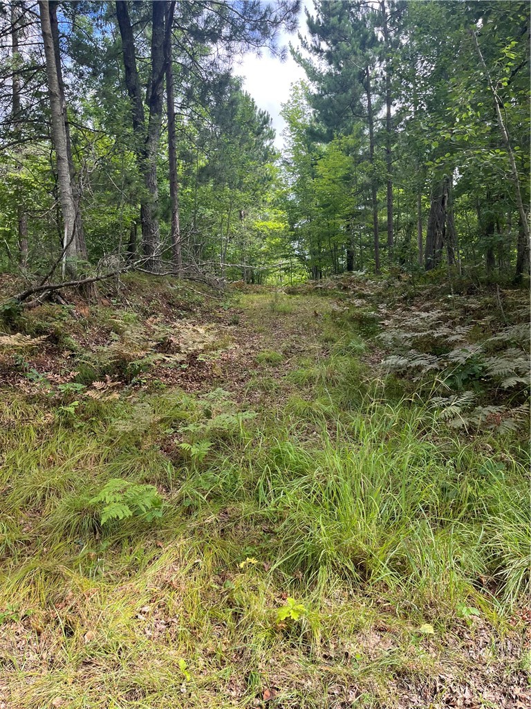 Lot 5 Fox Ridge Pass Property Photo 14