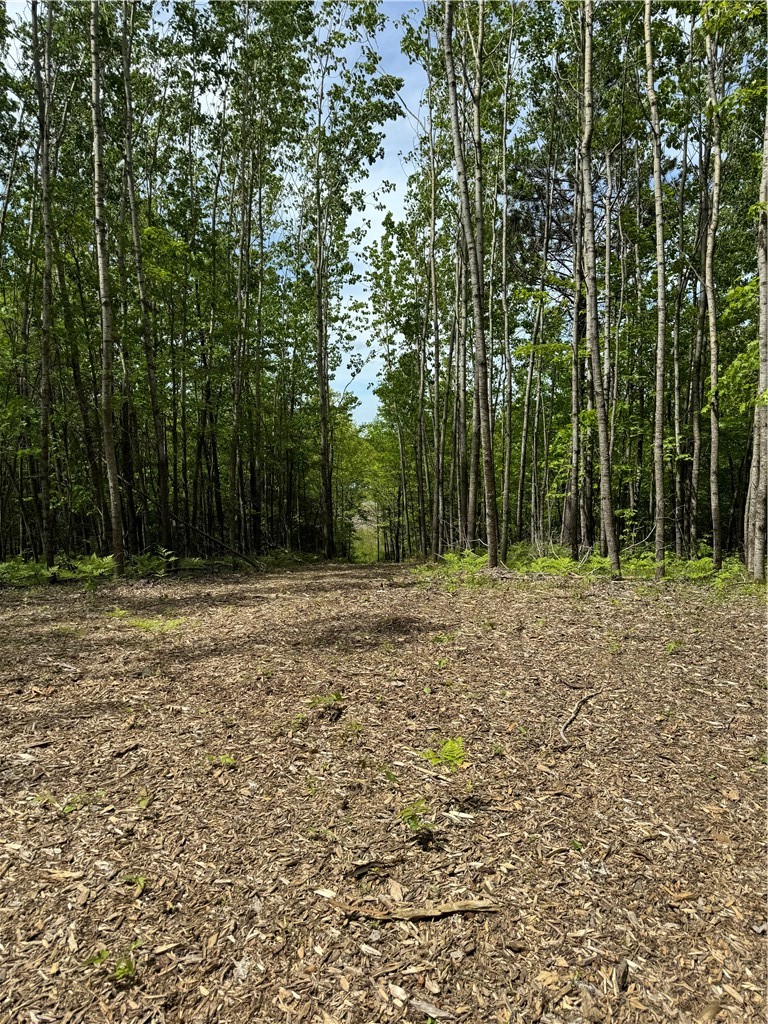 Lot 4 Fox Ridge Pass Property Photo 14