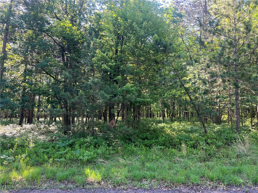 Lot 6 Fox Ridge Pass Property Photo 14