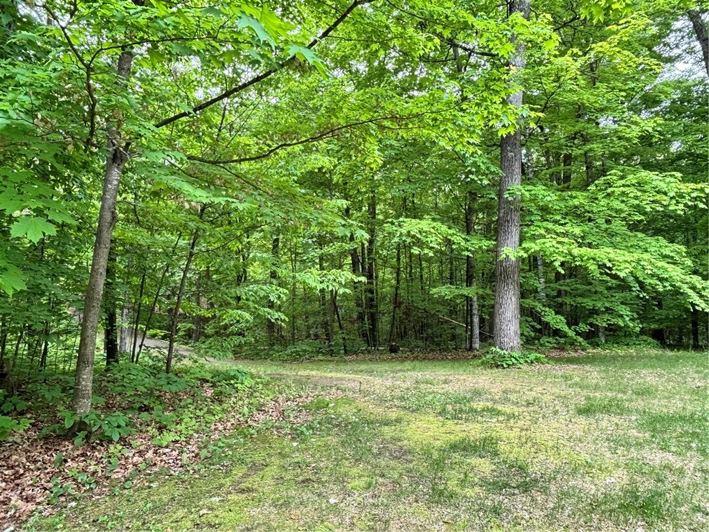 Lot 7 Fox Ridge Pass Property Photo 14