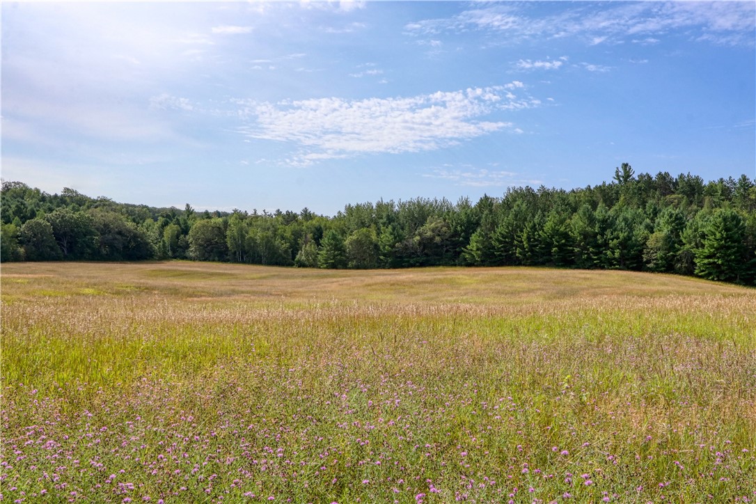 N9156 Tripp Road Property Photo 42