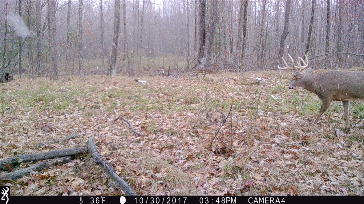 Xxx County Road D Property Photo 7