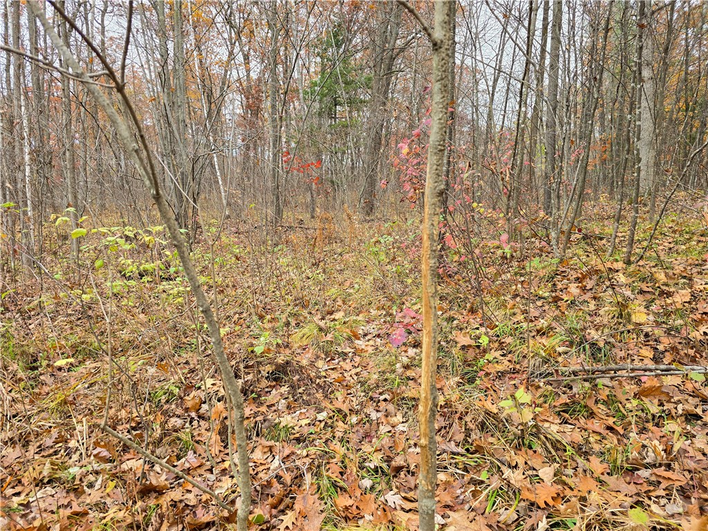 Xxx County Road D Property Photo 13