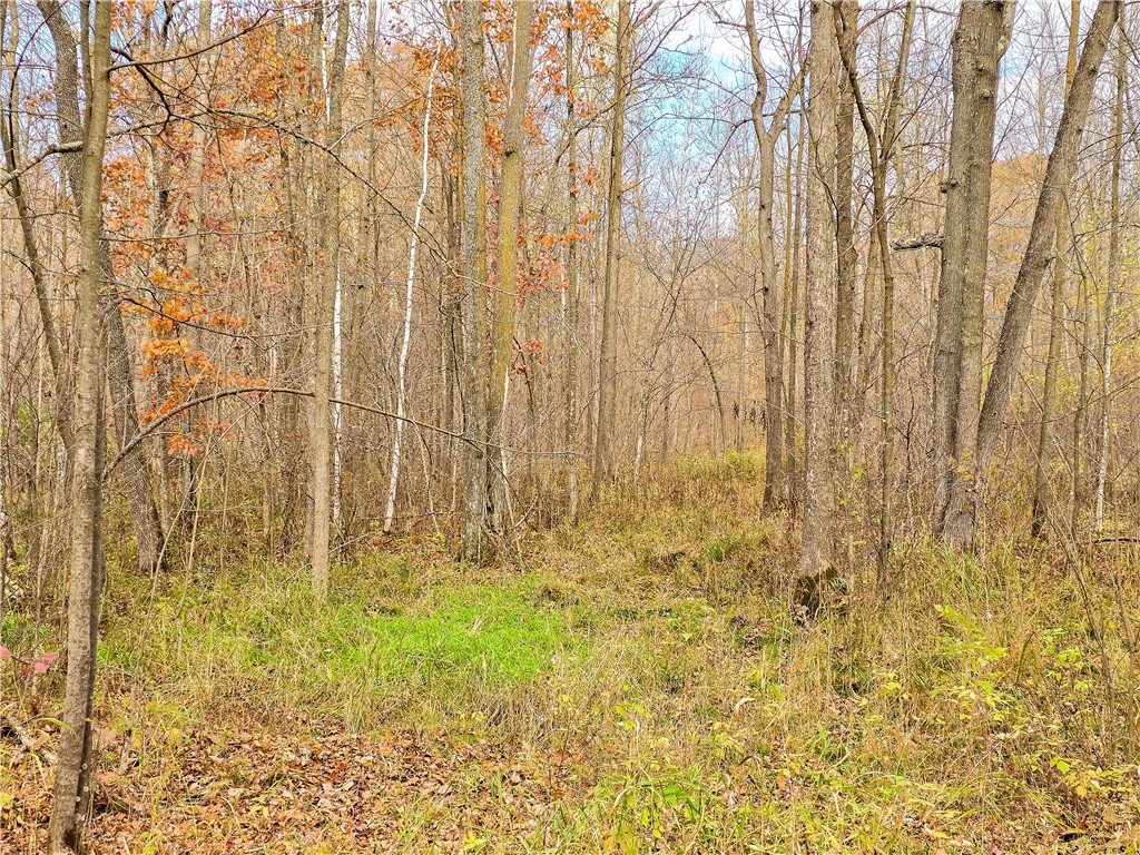 Xxx County Road D Property Photo 15