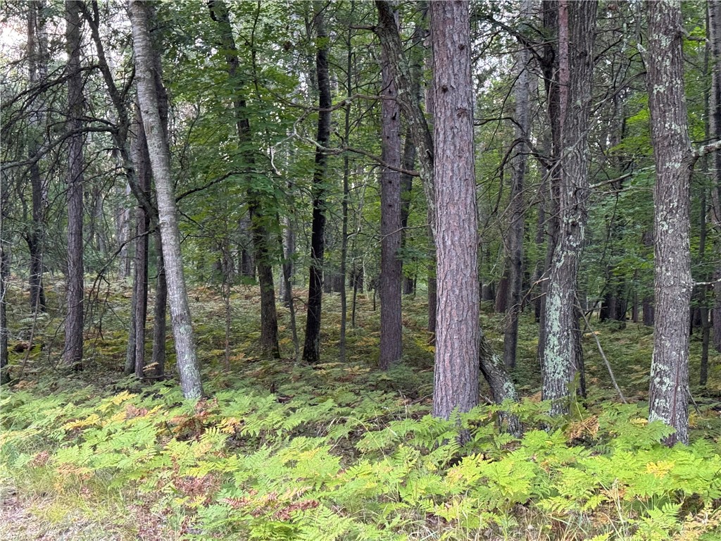 Lot 60 Honey Tree Terrace Property Photo 14