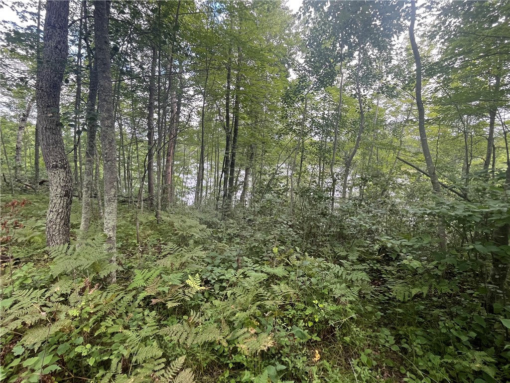 Lot 61 Honey Tree Terrace Property Photo 14