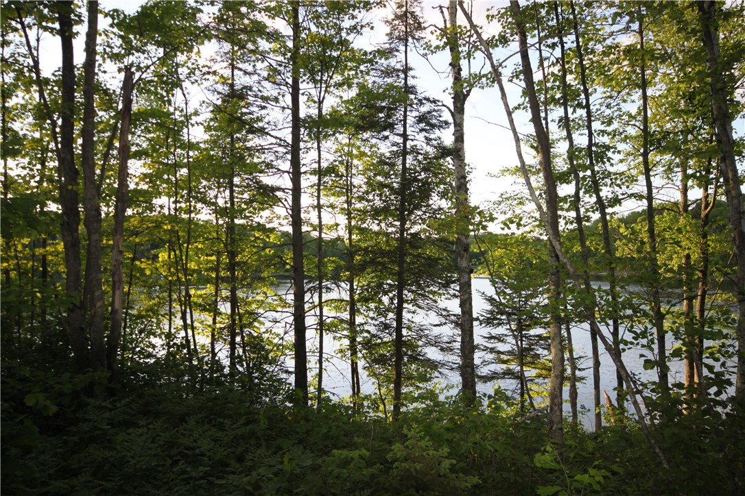 Lot 1 Timber Wolf Drive Property Photo 1