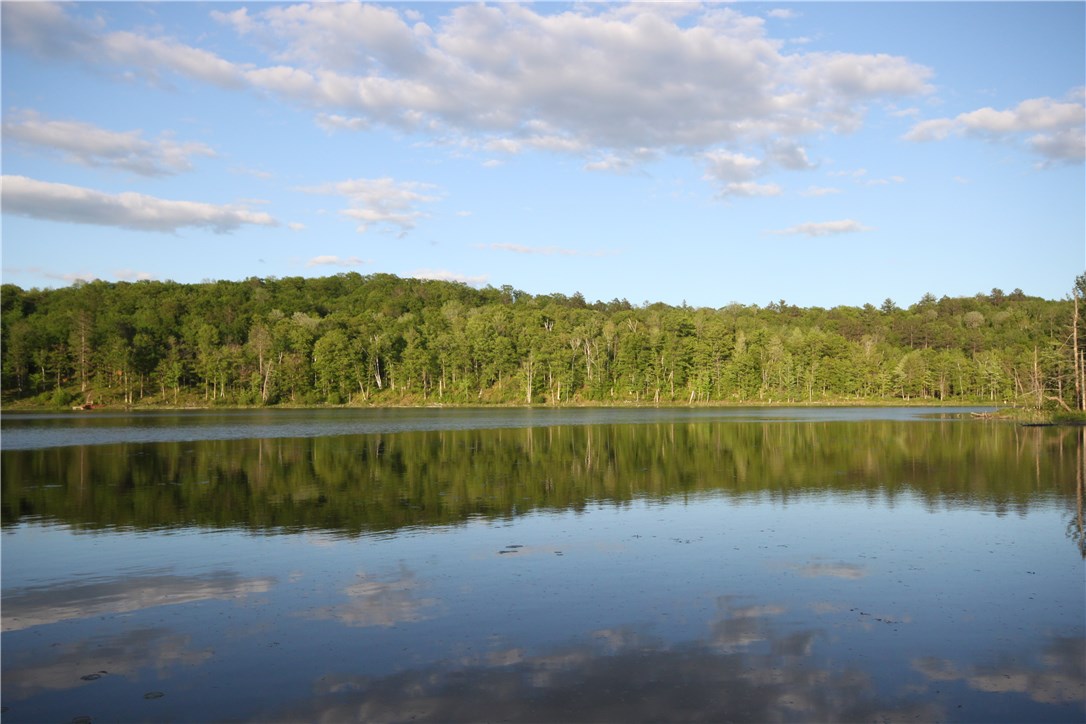 Lot 1 Timber Wolf Drive Property Photo 2