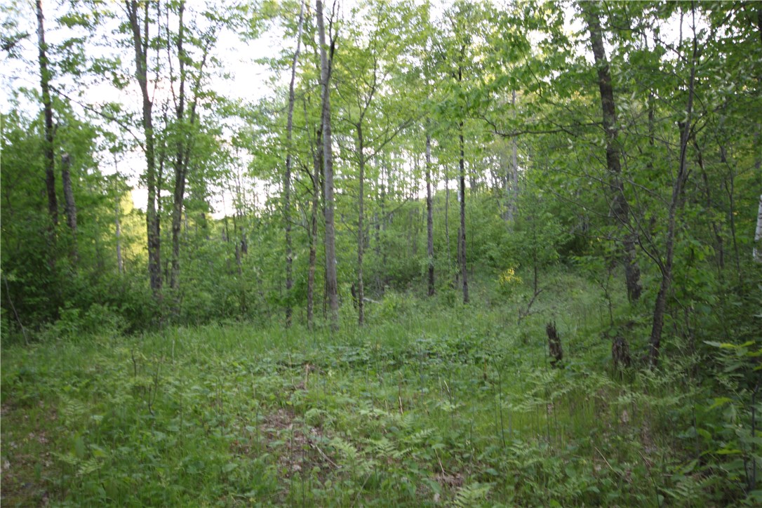 Lot 1 Timber Wolf Drive Property Photo 3