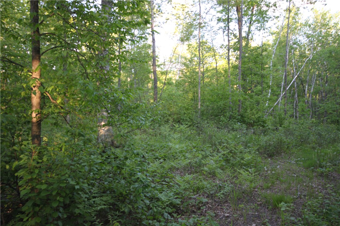 Lot 1 Timber Wolf Drive Property Photo 4