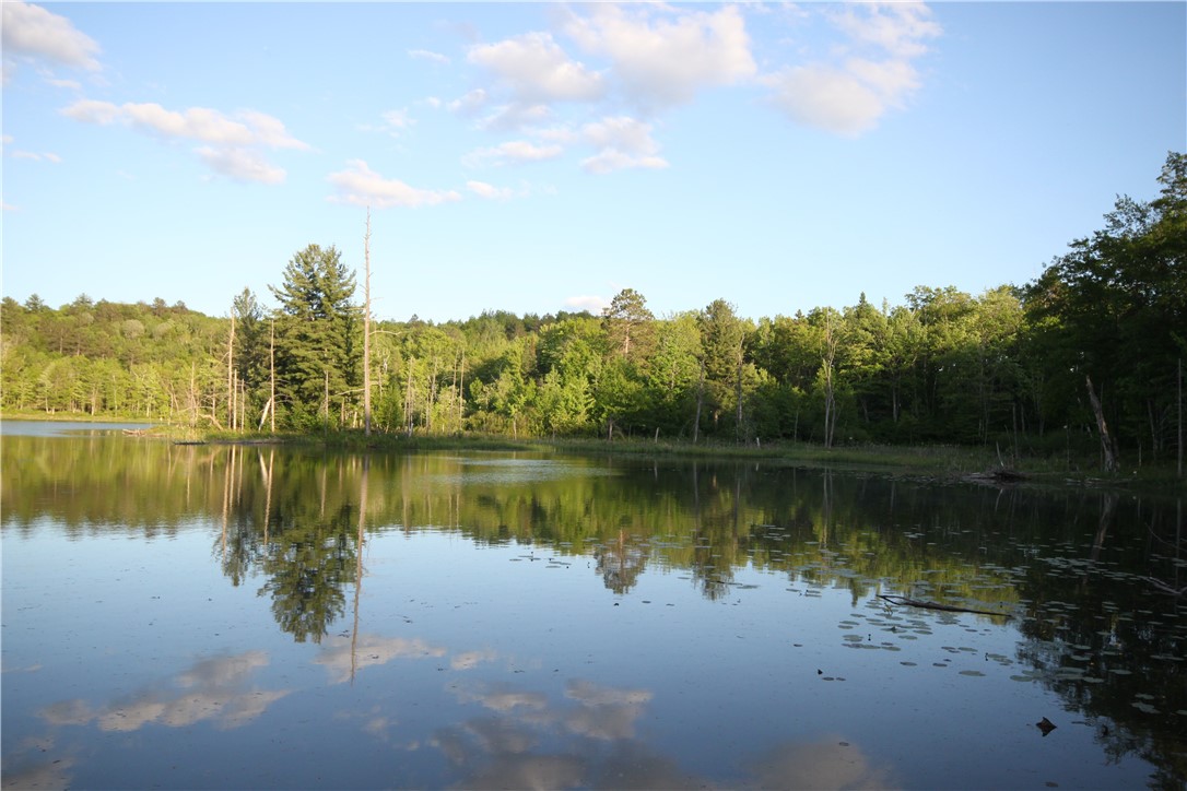 Lot 1 Timber Wolf Drive Property Photo 5