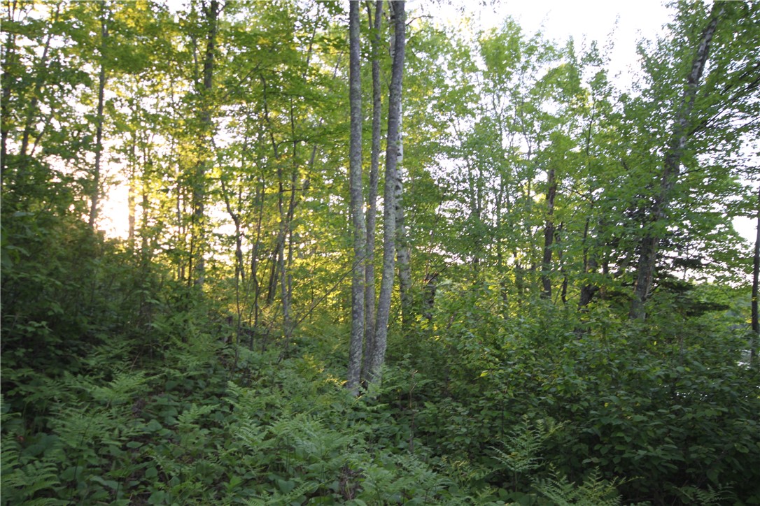 Lot 1 Timber Wolf Drive Property Photo 10