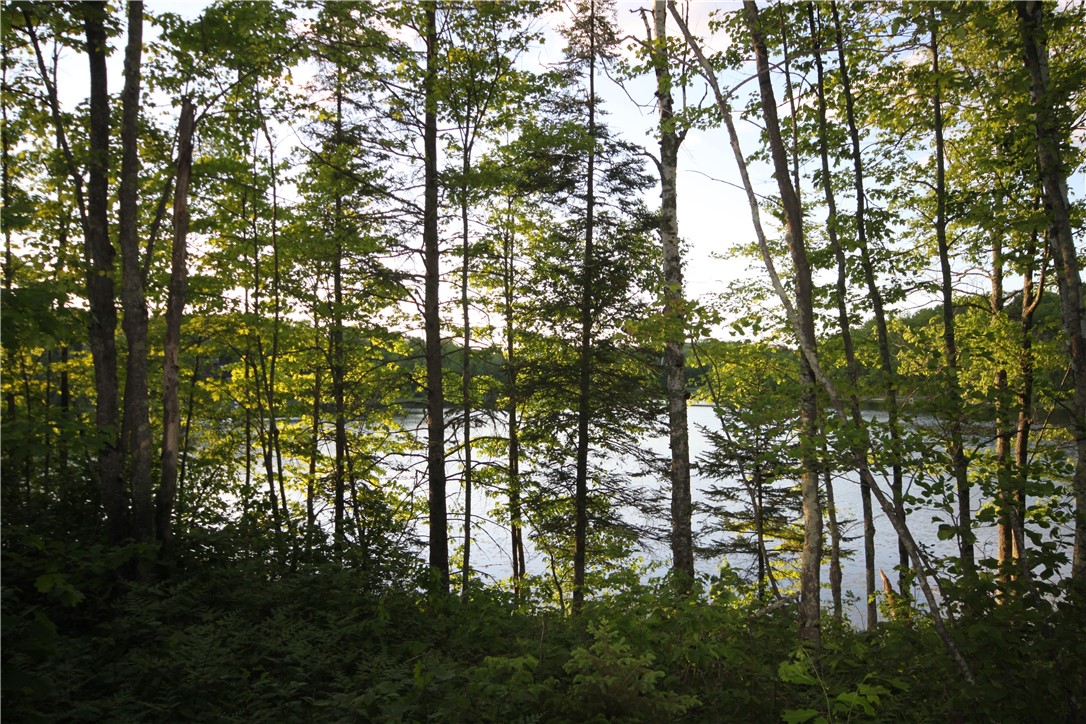 Lot 1 Timber Wolf Drive Property Photo 12