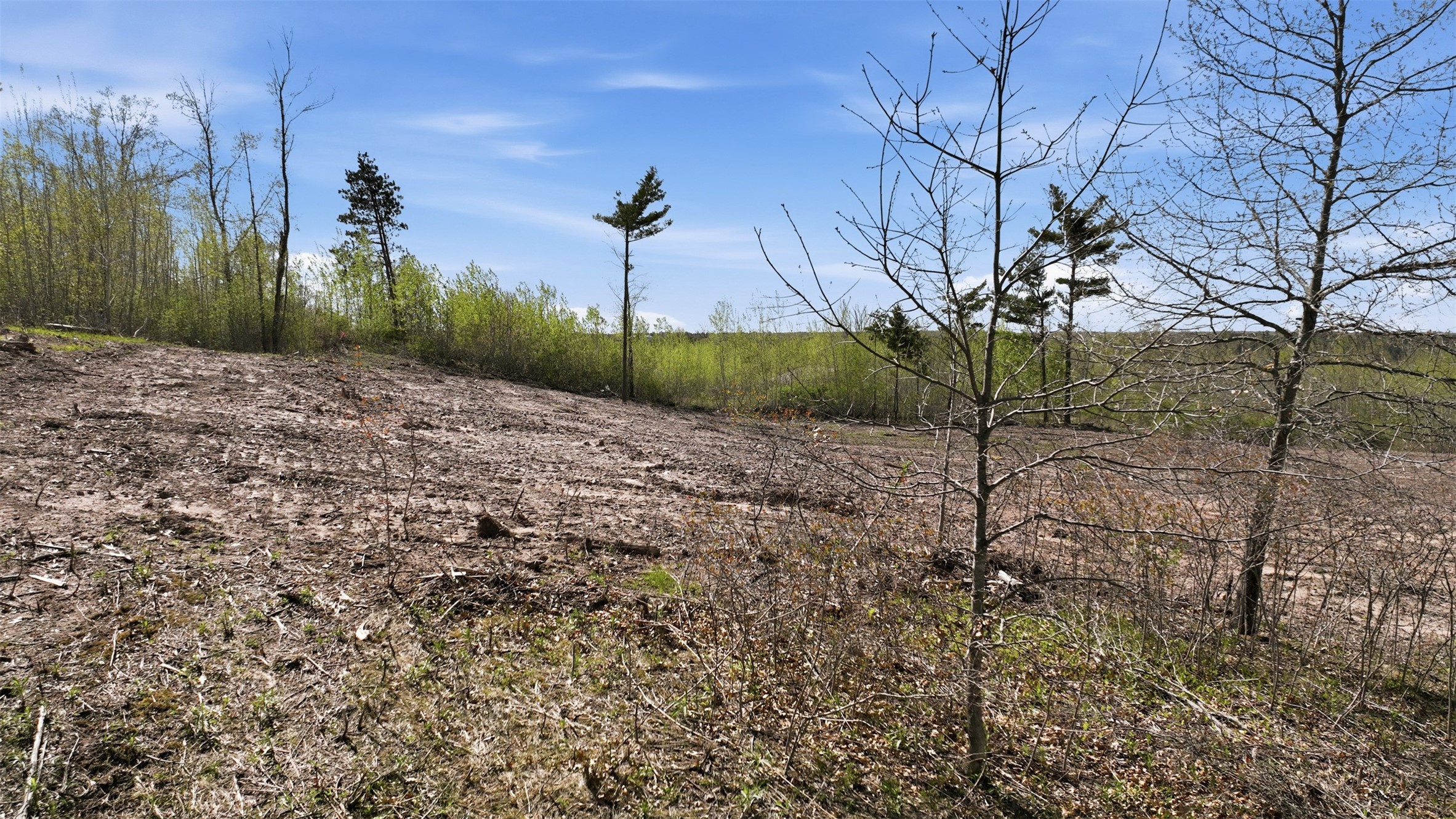 Lot 1 11th Avenue Property Photo 15