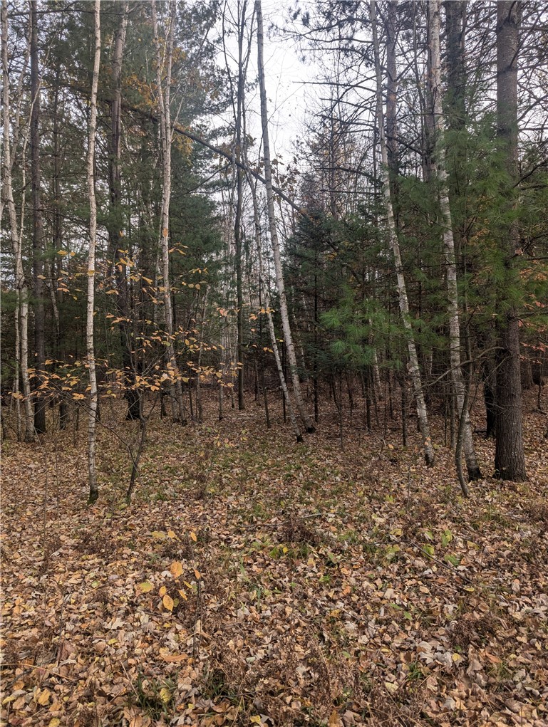 Lot 4 297th Avenue Property Photo 3
