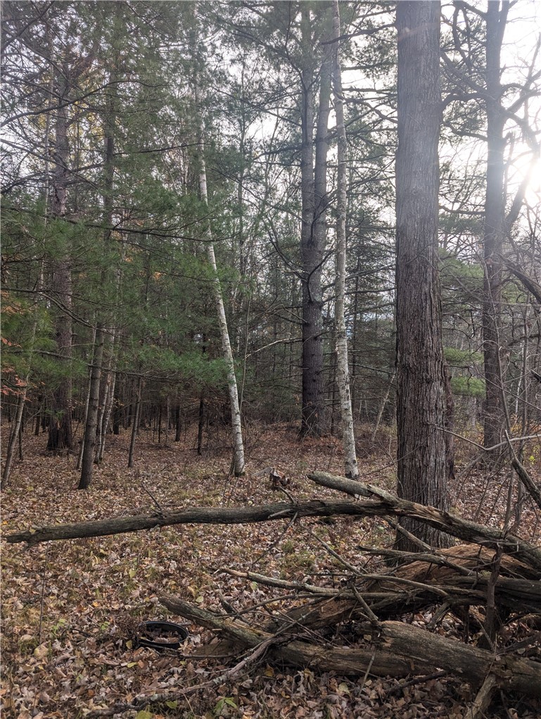 Lot 4 297th Avenue Property Photo 4