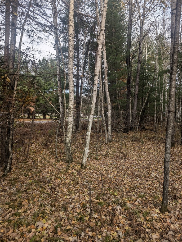 Lot 4 297th Avenue Property Photo 5