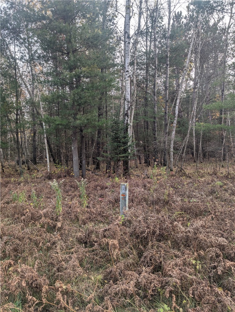 Lot 4 297th Avenue Property Photo 6