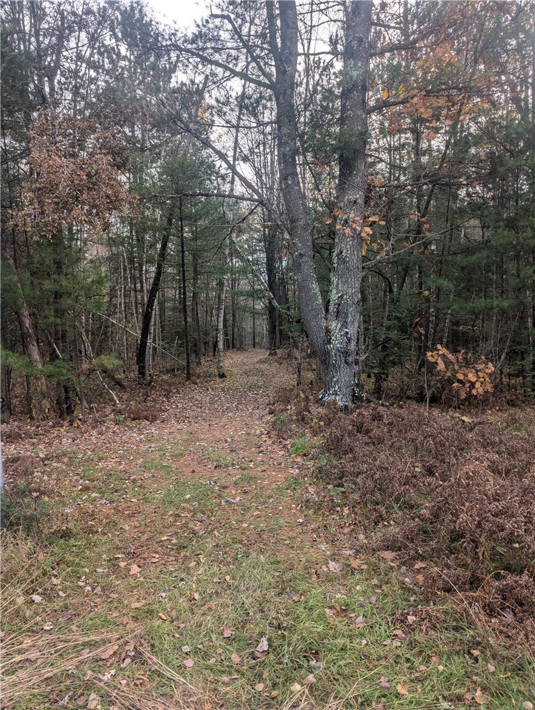 Lot 4 297th Avenue Property Photo 7