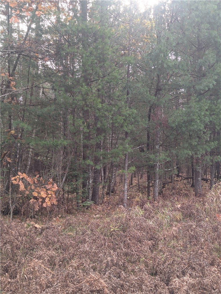 Lot 4 297th Avenue Property Photo 8
